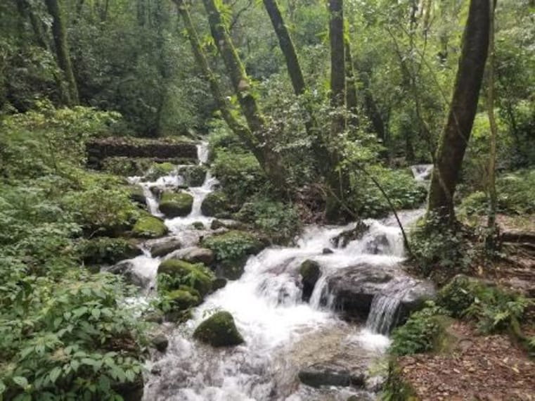 Shivapuri Nagarjun National Park-1
